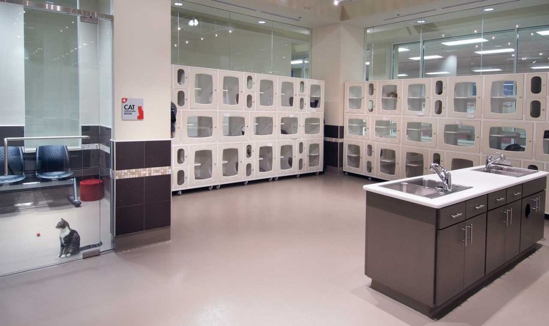 CatCondoAreaView2300dpiSWOP Bacon Group Architecture